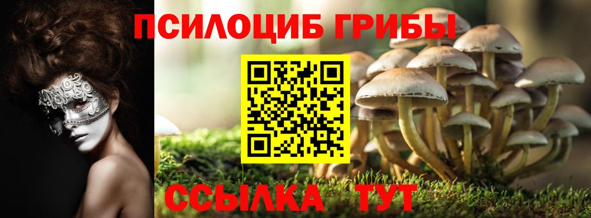 Кирово-Чепецк  как найти   Галлюциногенные грибы GOLDEN TEACHER  Вход с VPN  Псилоцибиновые грибы Cubensis 